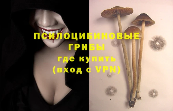 PSILOCYBIN Балахна