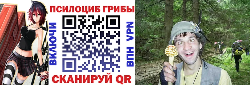 Галлюциногенные грибы мицелий  Купить где  Ковылкино 