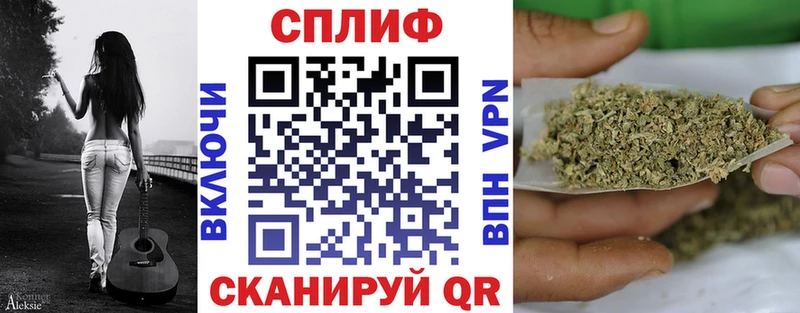 Купить закладки  Ковылкино  Конопля планчик 